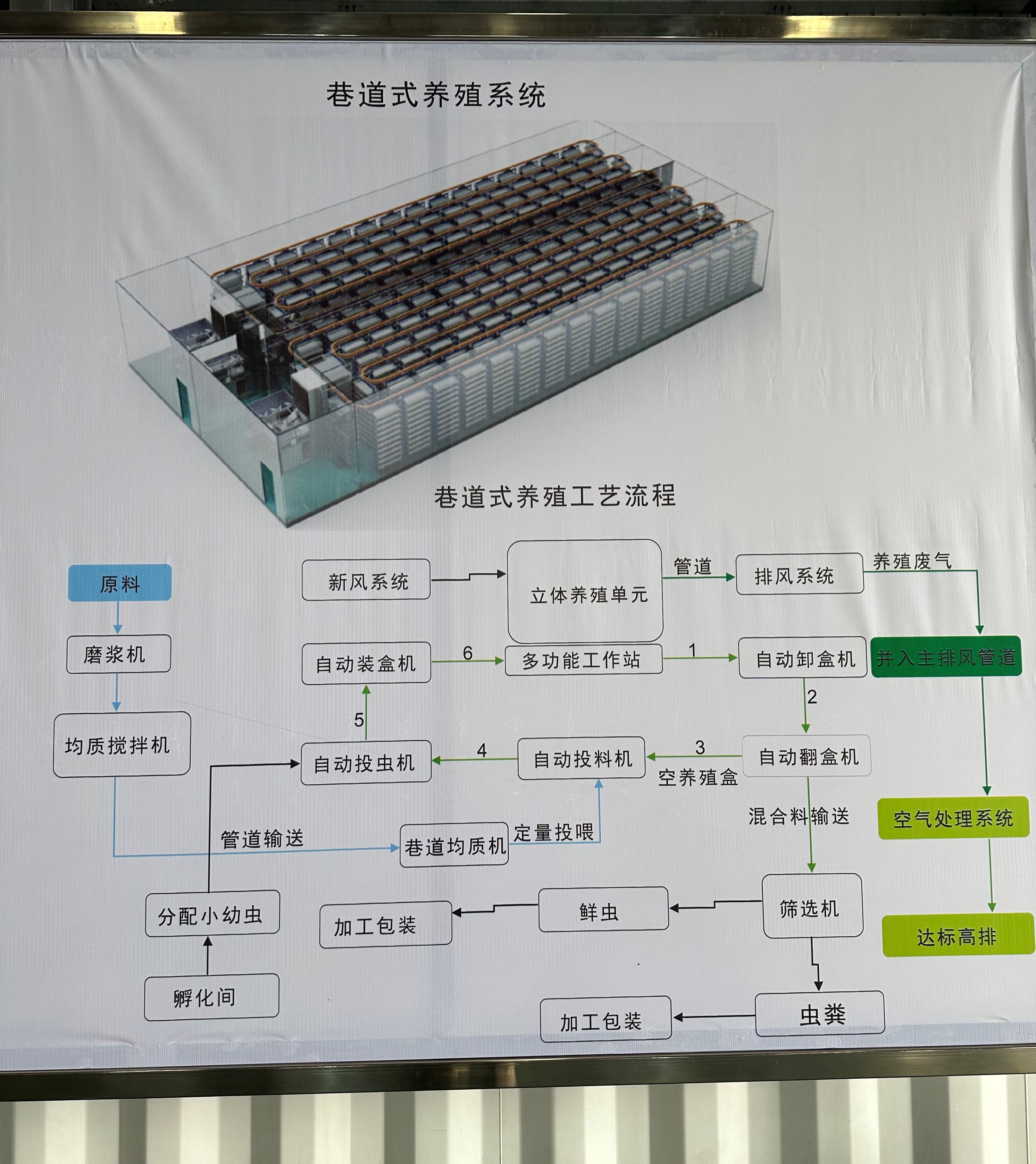 黑水虻處理餐廚垃圾的方法和優(yōu)勢是什么？